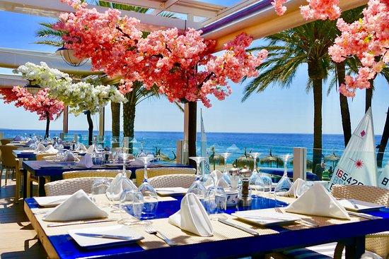 The Harbour Bar & Restaurant Marbella